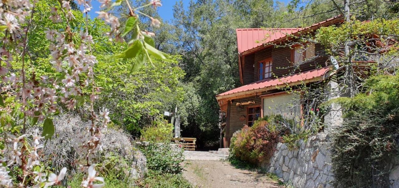 Casa De Montana Inmersa En Bosque Nativo San José de Maipo Kültér fotó