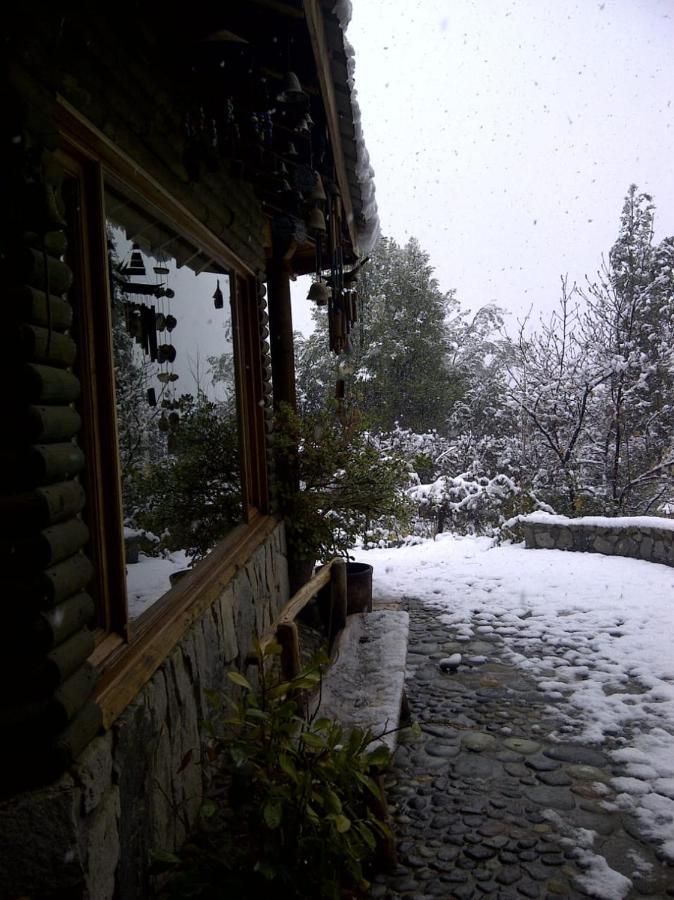 Casa De Montana Inmersa En Bosque Nativo San José de Maipo Kültér fotó